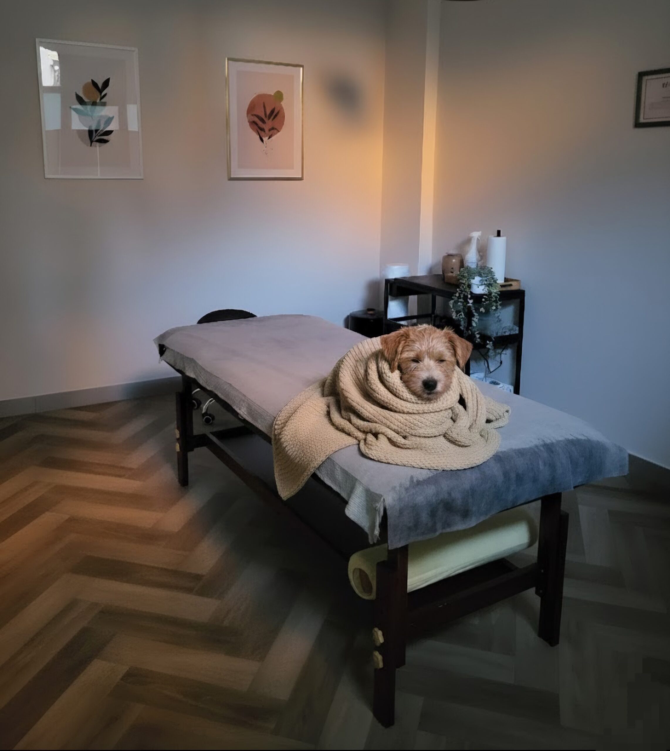 Dlaczego od zimna bolą plecy?